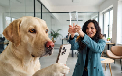 Werte. Wirkung. Wachstum – 2komma8 zieht Bilanz eines preisgekrönten Jahres